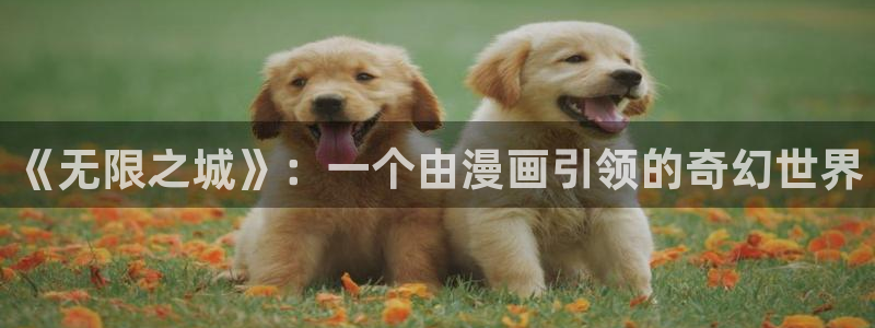 漫蛙非大陆地区