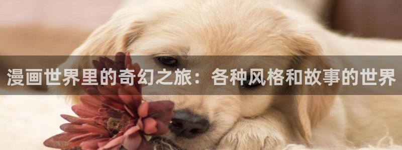 漫蛙com官网版
