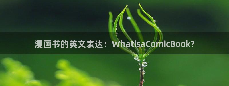 漫蛙苹果网页
