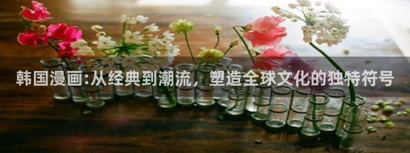 求漫蛙软件