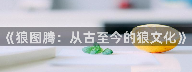 漫蛙怎么找