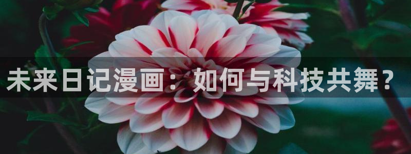 漫蛙网站地址