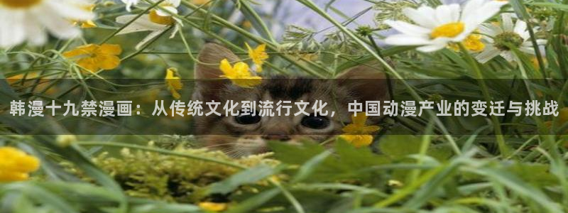漫蛙漫画(网页入口)漫蛙manwa官网版防