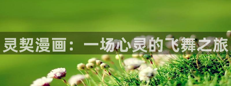 漫蛙漫画官方版