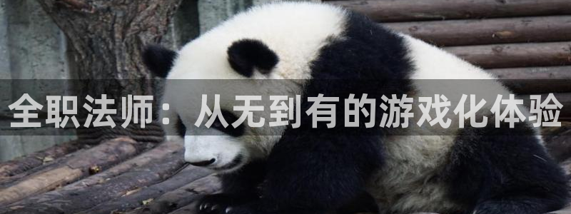 漫蛙漫画网站入口页面