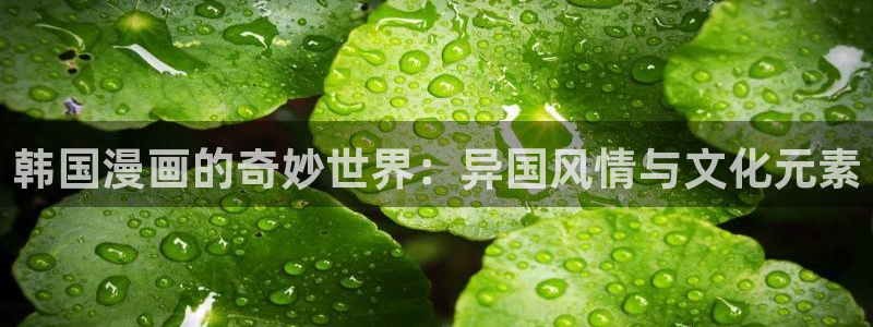 漫蛙漫画链接(网页入口)：韩国漫画的奇妙世界：异国风情与文化元素