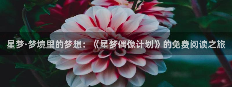 漫蛙免下载