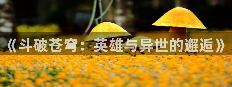 漫蛙漫2