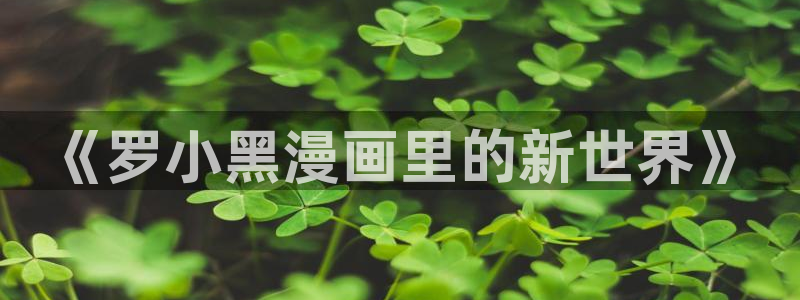 漫蛙fm