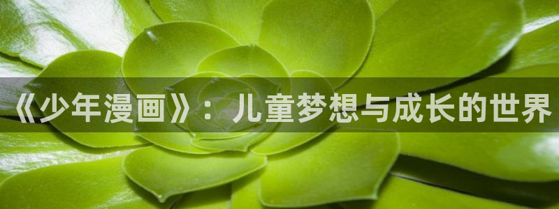 漫蛙漫画(网页入口)_漫蛙manwaw官网