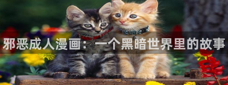 漫蛙网页入口地址