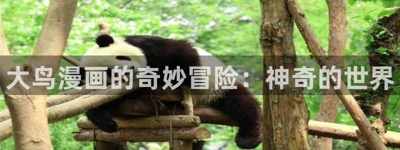 漫蛙网页版入口免费