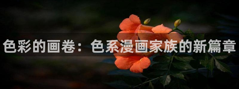 漫蛙a
