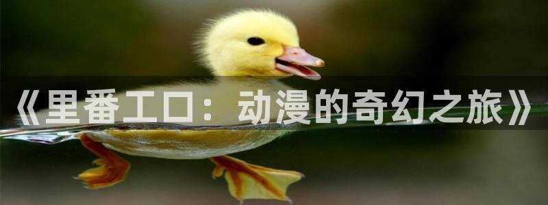 漫蛙 推荐
