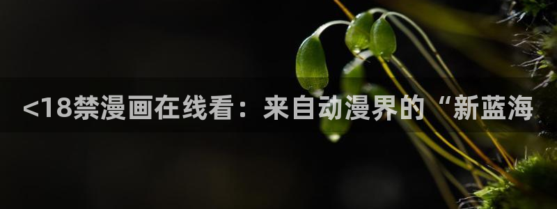 漫蛙2ver1.1.8版本