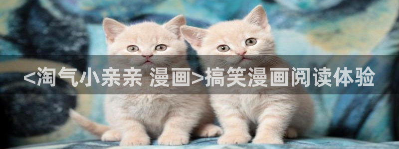 漫蛙网页版入口