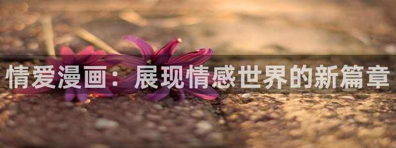 漫蛙浏览器