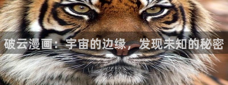 漫蛙漫画在