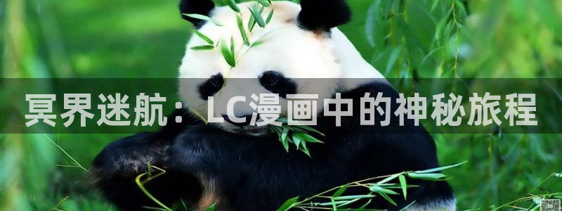 漫蛙链接官网