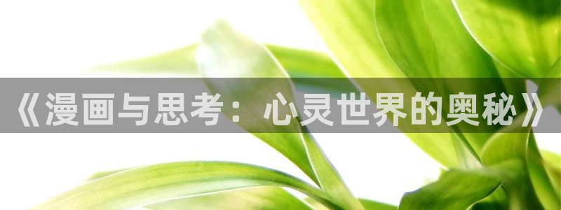 漫蛙二免费下载,正版