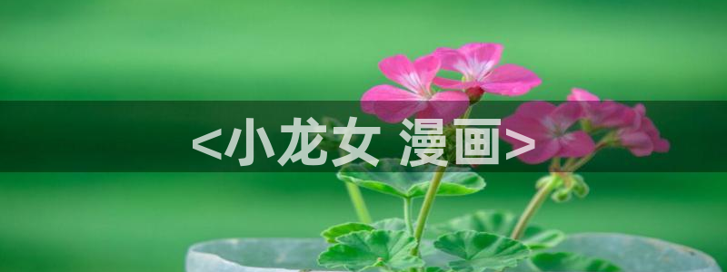 漫蛙manwa2漫画官网入口：<小龙女 漫画>