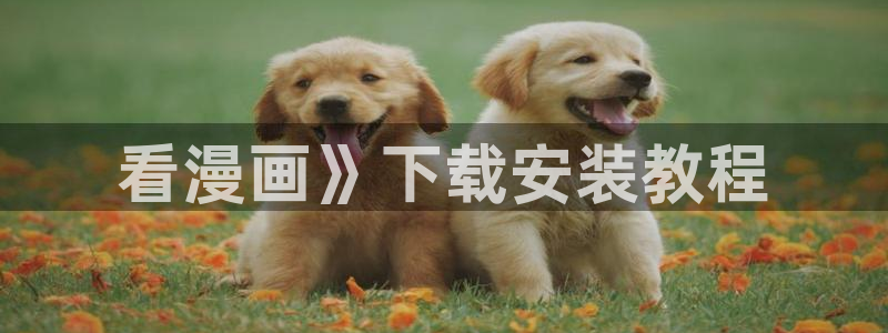 漫蛙免费版下载破解：看漫画》下载安装教程