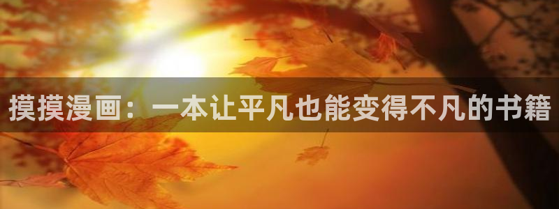 漫蛙manwa2网站版：摸摸漫画：一本让平凡也能变得不凡的书籍