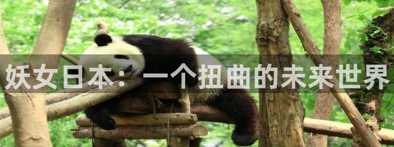 漫蛙漫画网页入口最新：妖女日本：一个扭曲的未来世界