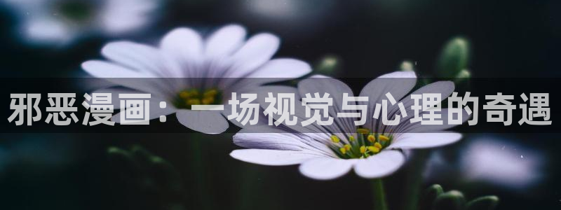 ios怎么下载漫蛙：邪恶漫画：一场视觉与心理的奇遇