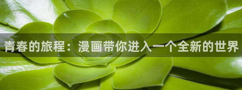 有漫蛙网页：青春的旅程：漫画带你进入一个全新的世界