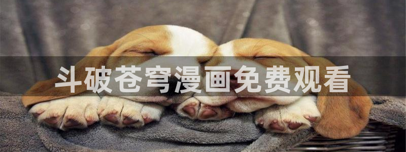 漫蛙正：斗破苍穹漫画免费观看